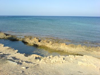 Medelhavet