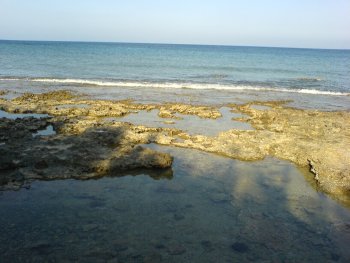 Medelhavet